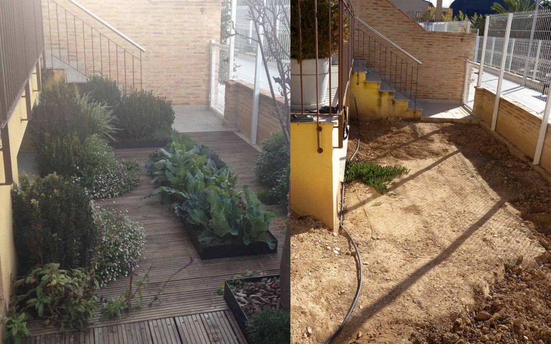 Jardín delantero