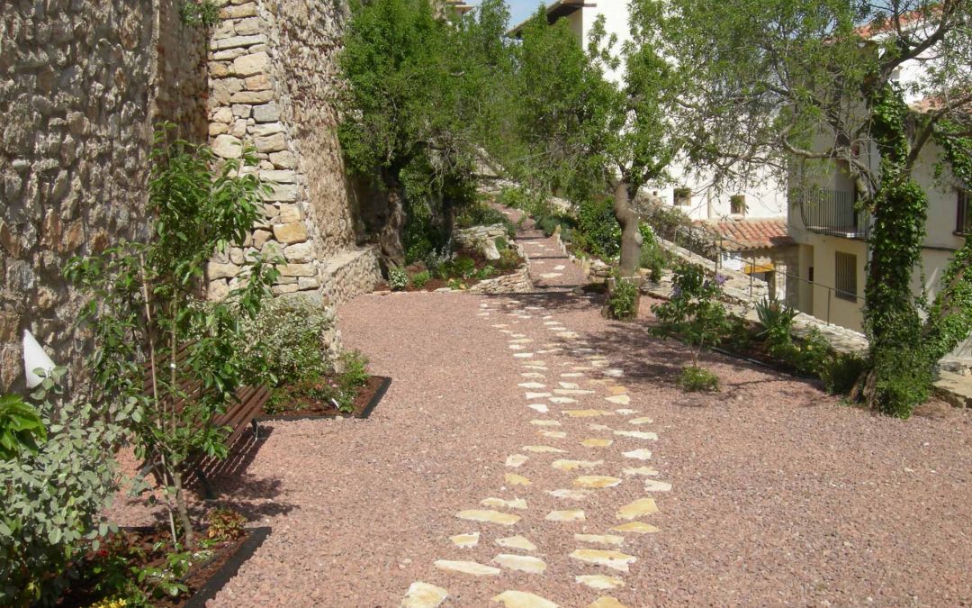 Morella